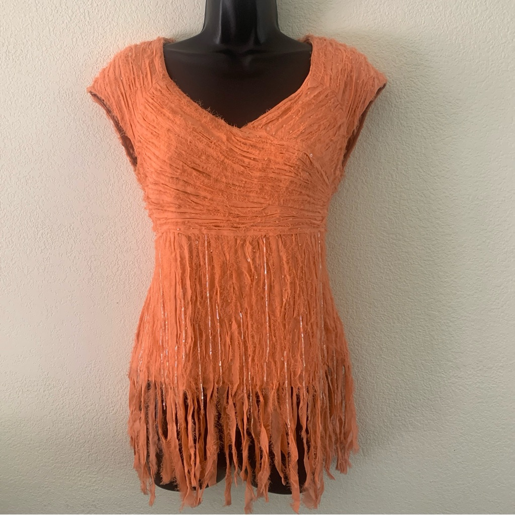 Lafayette 148 Top Size 4 Silk Fringe Sequin Tassels Lined Blouse Cap Sleeve $398
